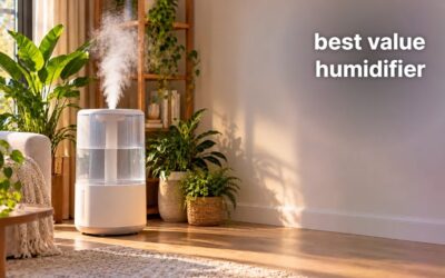 Best Value Humidifier (2026): 5 Picks for Bedrooms